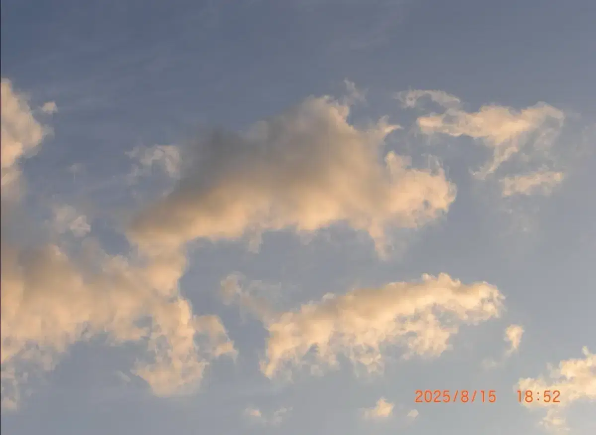 thumbnail-8